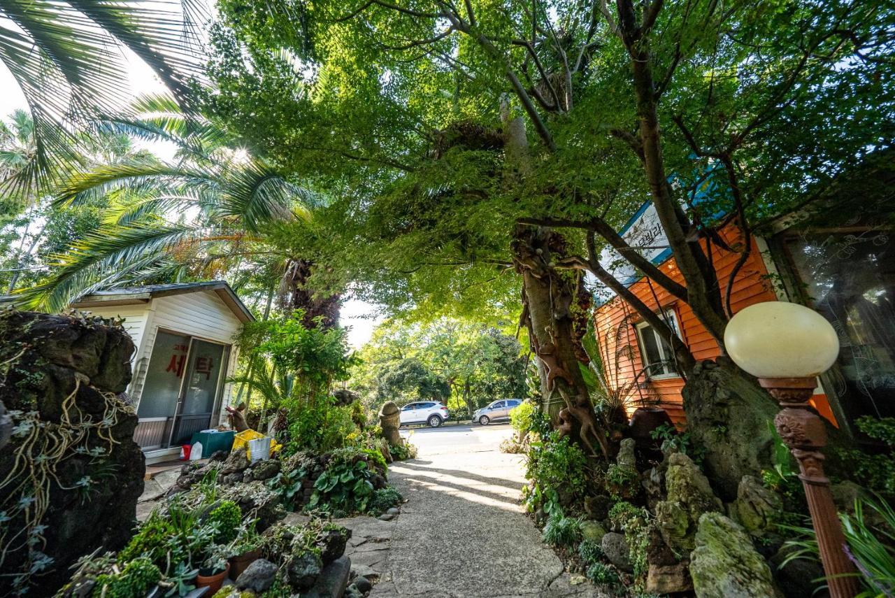 Valley Village Seogwipo Zewnętrze zdjęcie